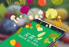 东方智启科技APP开发-家庭买菜app开发  实用的买菜攻略
