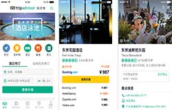 东方智启科技APP开发-猫途鹰app开发 汇聚全球旅游点评
