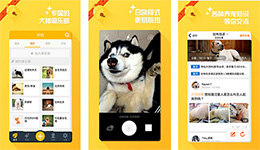 东方智启科技APP开发-铃铛宠物app点评 铃铛宠物app如何