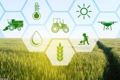 东方智启科技APP开发-农产品APP开发促进农产品交易提高农民收益