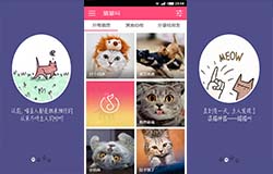 东方智启科技APP开发-开发养猫人士必备app 新手铲屎官知识库