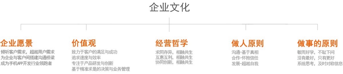 企业文化：企业愿景、做事原则、价值观等