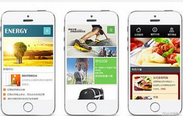 东方智启科技APP开发-快消品行业手机软件开发