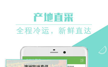 东方智启科技APP开发-主流O2O水果生鲜app商业模式利弊分析