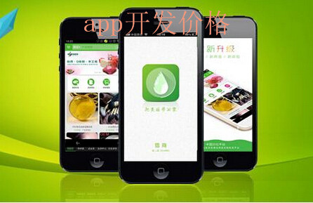 东方智启科技APP开发-APP开发报价单