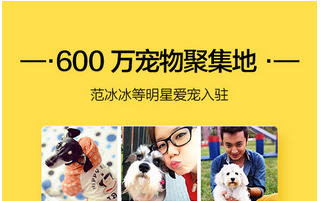东方智启科技APP开发-宠物社区app开发 该如何收割粉丝