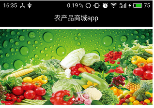 东方智启科技APP开发-绿色农产品商城app开发让人们健康生活