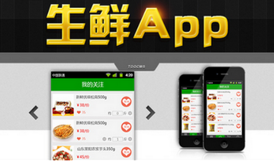 东方智启科技APP开发-生鲜电商软件开发将进入培训期 