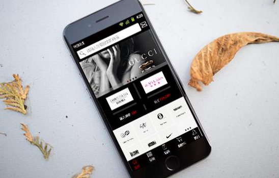 东方智启科技APP开发-电商app开发有多火 Chanel也来插一脚