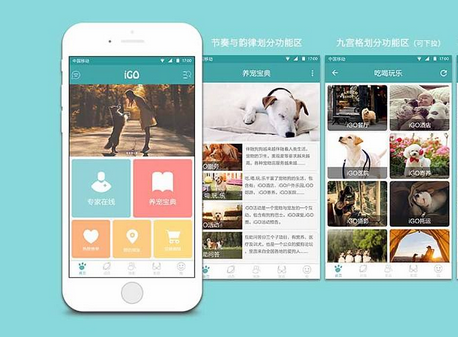 东方智启科技APP开发-宠物社交APP开发轻松交宠物友