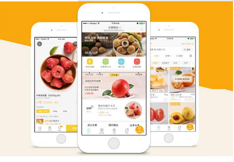 东方智启科技APP开发-生鲜app开发解决方案