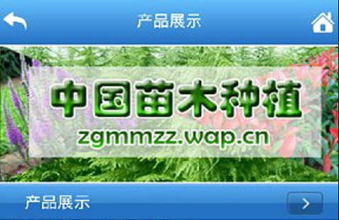 东方智启科技APP开发-古树名木app开发 随时查询身边的瑰宝