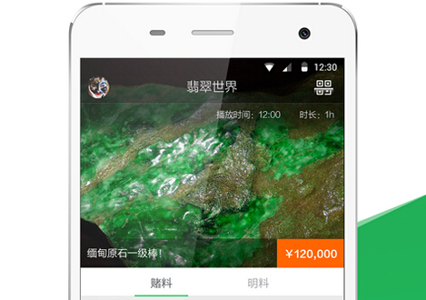 掌上翡翠APP开发 让您坐拥第一手货源