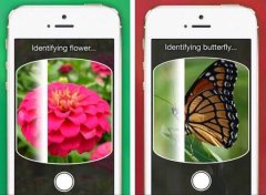 东方智启科技APP开发-植物识别APP开发 扫一扫就知道情况