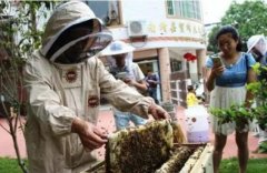 东方智启科技APP开发-蜜蜂认养APP开发 要的就是任性