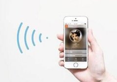 东方智启科技APP开发-猫脸识别APP开发 拓宽人脸识别领域