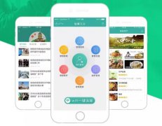 东方智启科技APP开发-开发智慧城市软件解决方案