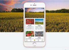 东方智启科技APP开发-共享庄园APP开发实现定制化消费