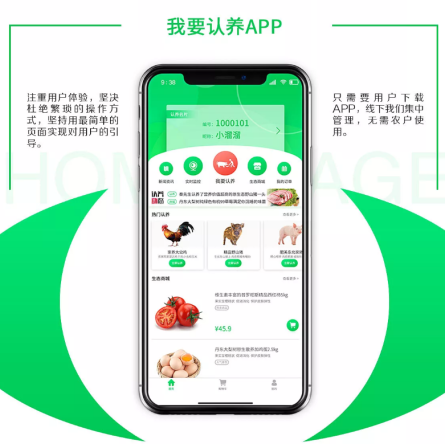 东方智启科技APP开发-为何果树认养APP开发有这么大市场