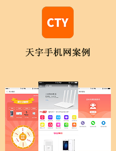 天宇手机网案例