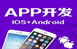 东方智启科技APP开发-专业的APP开发公司大概多久能开发一个APP