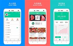 东方智启科技APP开发-开发智能养牛APP  实现精准养殖