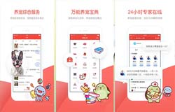 东方智启科技APP开发-专用的宠物打车软件开发 带动新型消费市场