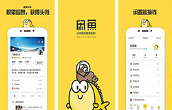 东方智启科技APP开发-闲置交易平台闲鱼app点评