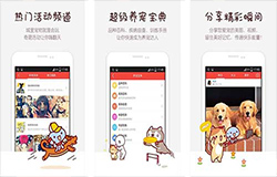 东方智启科技APP开发-宠物APP开发 让铲屎官成为养宠专家