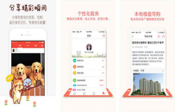 东方智启科技APP开发-有宠app评测 有宠app好用吗