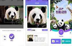 东方智启科技APP开发-大熊猫认脸APP开发 告别脸盲症