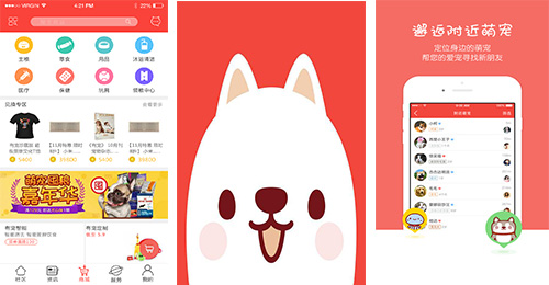 宠物市场app点评