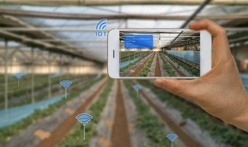 农业管理大数据APP-深圳app开发公司东方智启科技