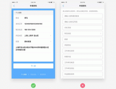 东方智启科技APP开发-深圳app开发公司怎样做UI设计的表单