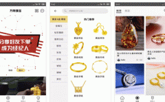 东方智启科技APP开发-对万特珠宝APP测评可以看到什么