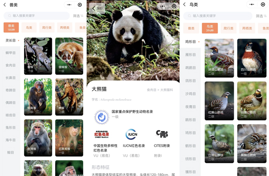 国家重点保护野生动物名录小程序开发方便公众查阅名录内物种相关信息