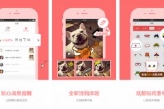 东方智启科技APP开发-宠物秀app点评 宠物秀app好不好