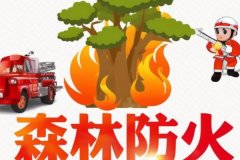 东方智启科技APP开发-森林防火APP开发保护森林资源和人民生命财产安全