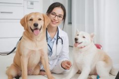 东方智启科技APP开发-宠物医院软件开发定制在线为爱宠找兽医咨询宠物疾病问题